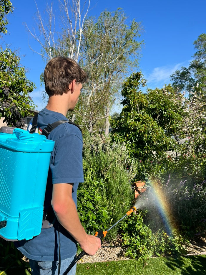 Homeowner spraying Clore retardant on vegetation