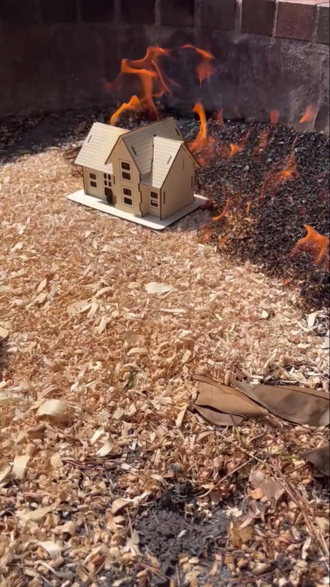 Which house will survive?